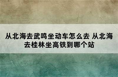 从北海去武鸣坐动车怎么去 从北海去桂林坐高铁到哪个站